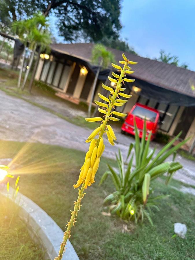 I Garden Hotel ايبوه المظهر الخارجي الصورة
